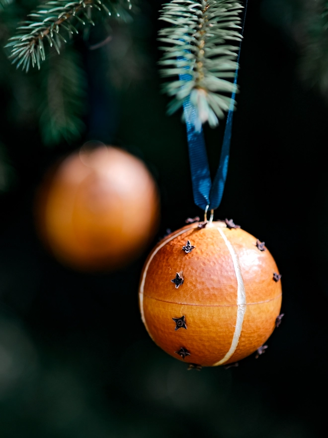 Handcrafted orange and clove scented pomander bauble hanging from a fir Christmas tree, surrounded by soft green foliage and warm natural tones.