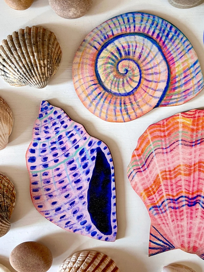 wooden shell wall art decoration. three illustrated shells on a background of real shells.