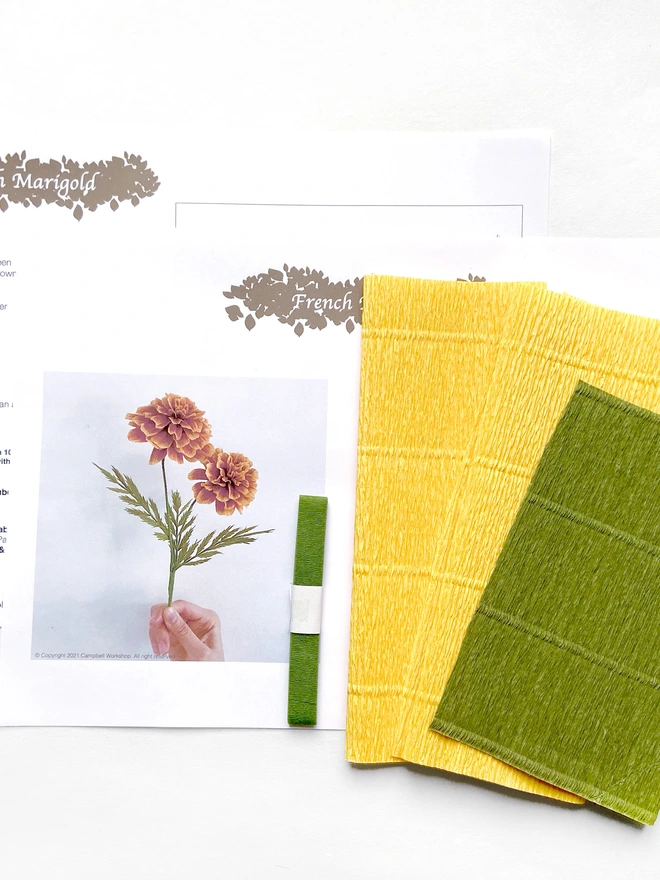 Crepe Paper French Marigold Flower DIY Kit