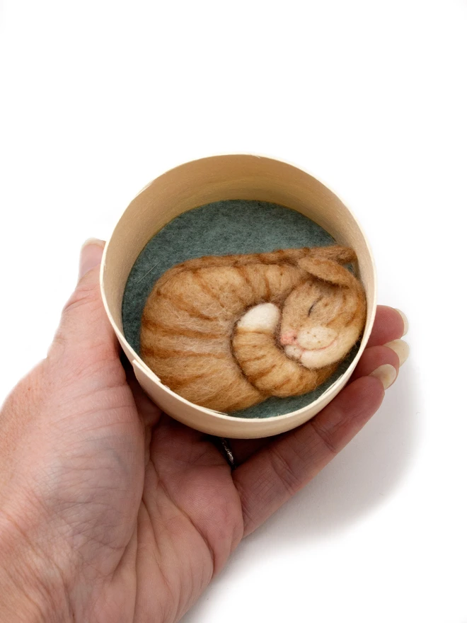 A custom handmade needle felted sleeping cat brooch inside it's wooden box