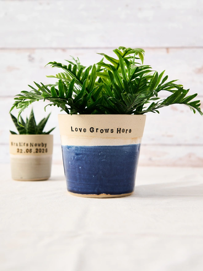 blue ceramic planter