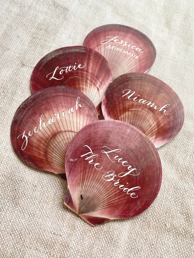 Scallop shell calligraphy place cards