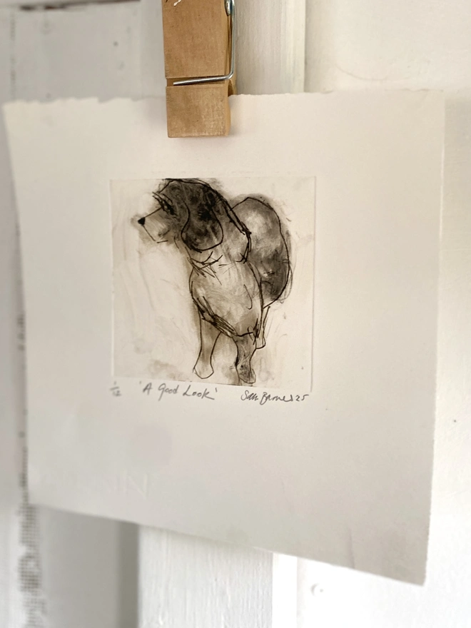 'A Good Look'. Handmade Dog Drypoint Print by Samantha Barnes