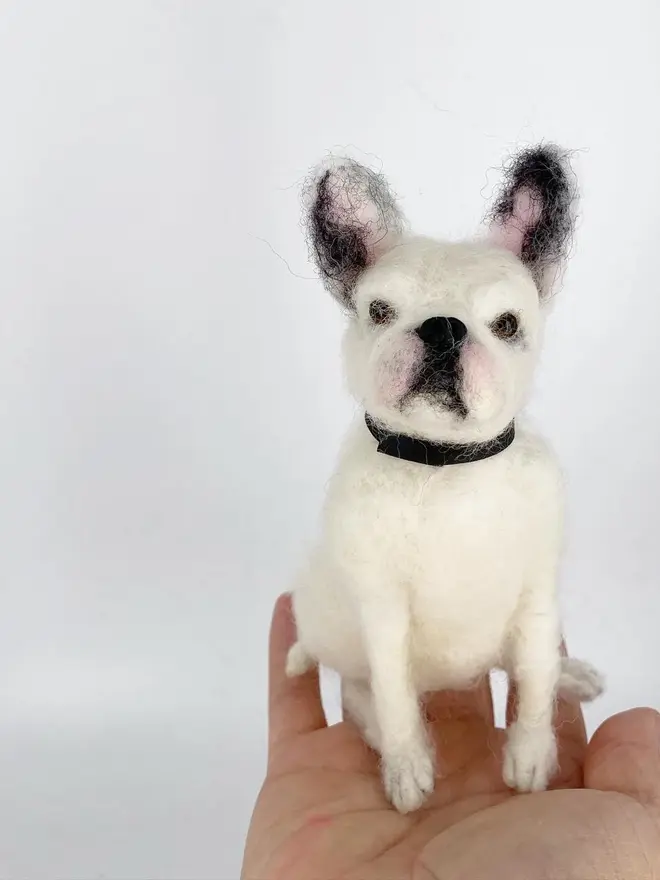 merino wool french bulldog portrait