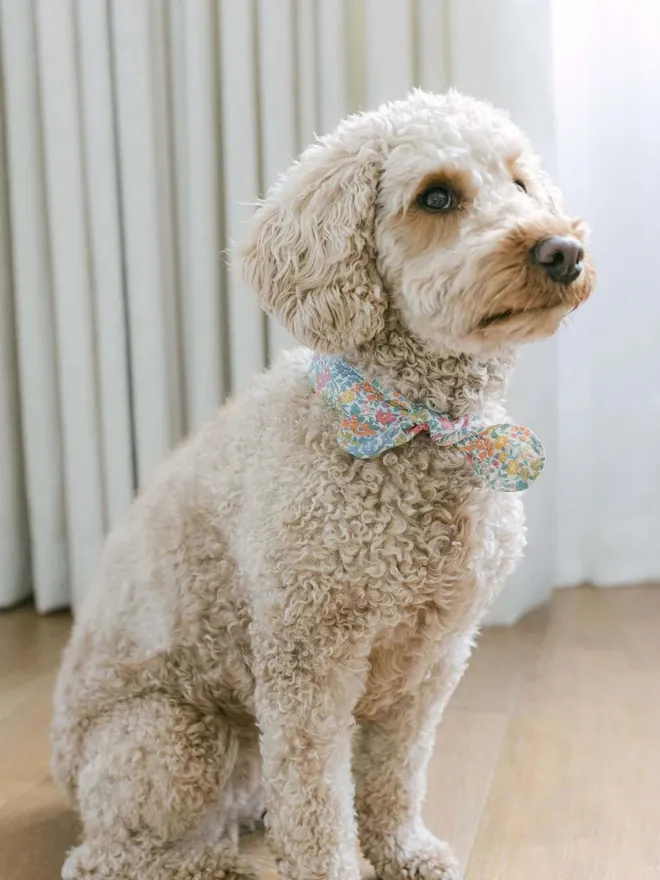 Handmade Liberty Fabric Dog Necktie