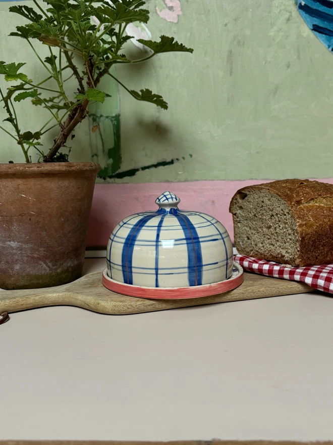 ceramic butter dish