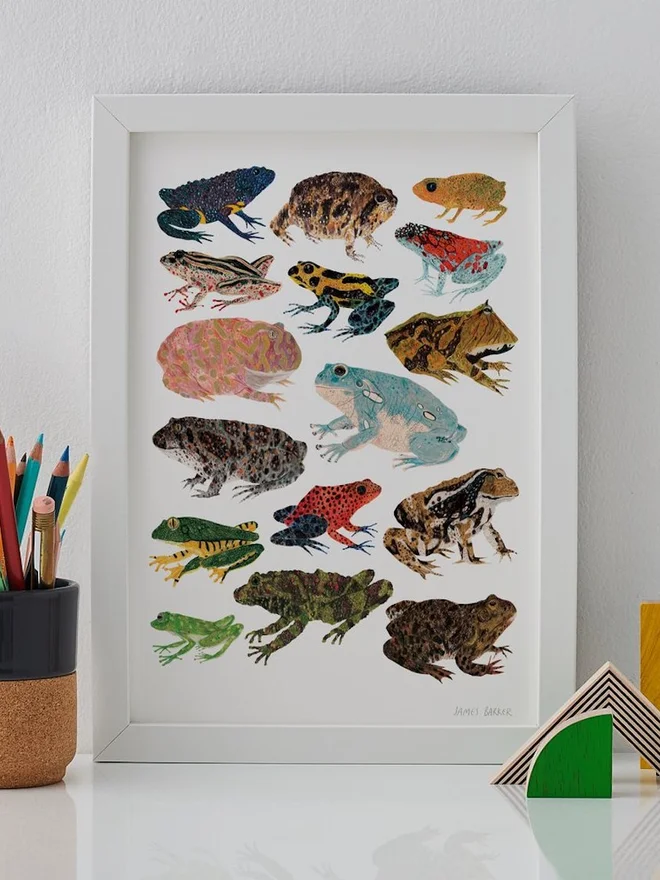 Frogs and Toads Print