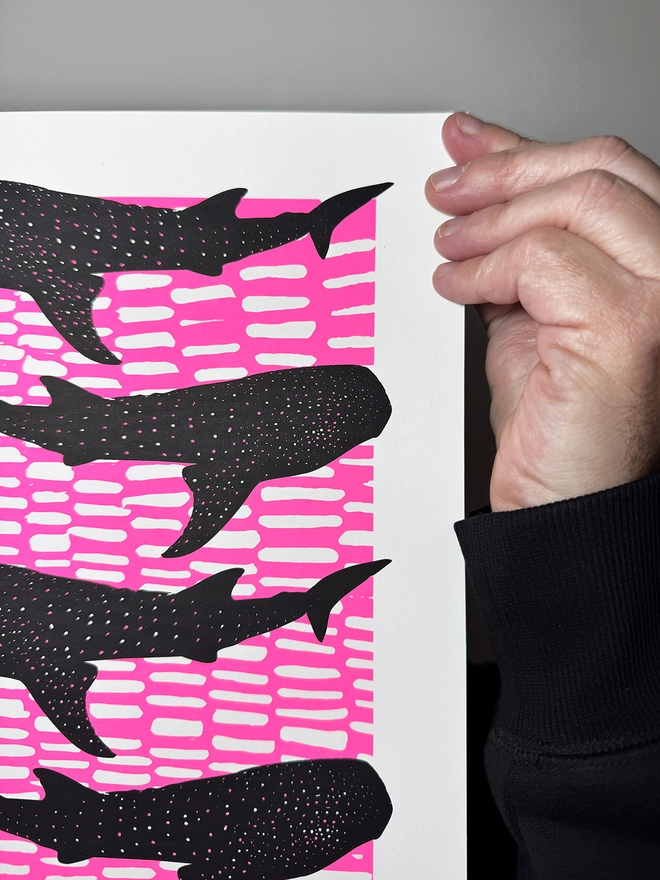 Whale Shark Shiver_A4 Screen Print_Holly and Co_Close up top right