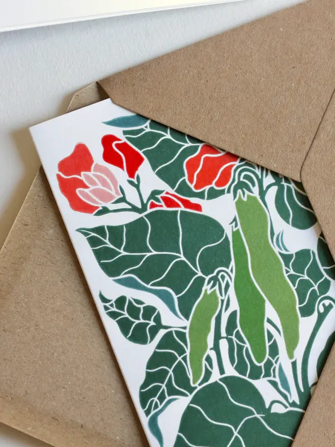 runner bean print notecard set