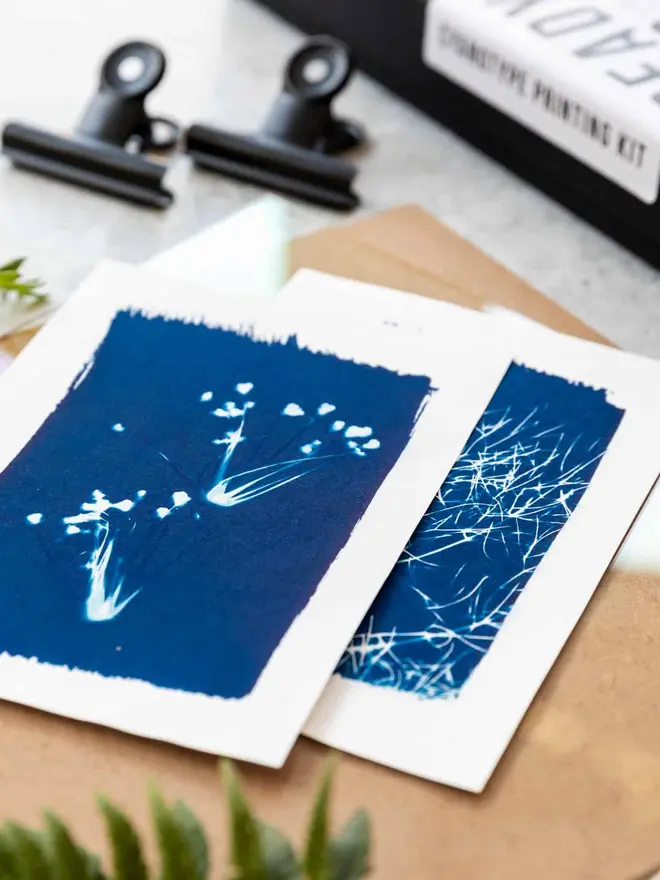A6 Sunlight Cyanotype Kit To Create Prints At Home 