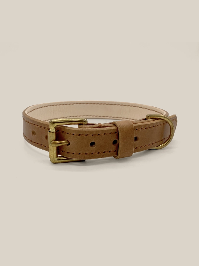 front view of caramel dog collar