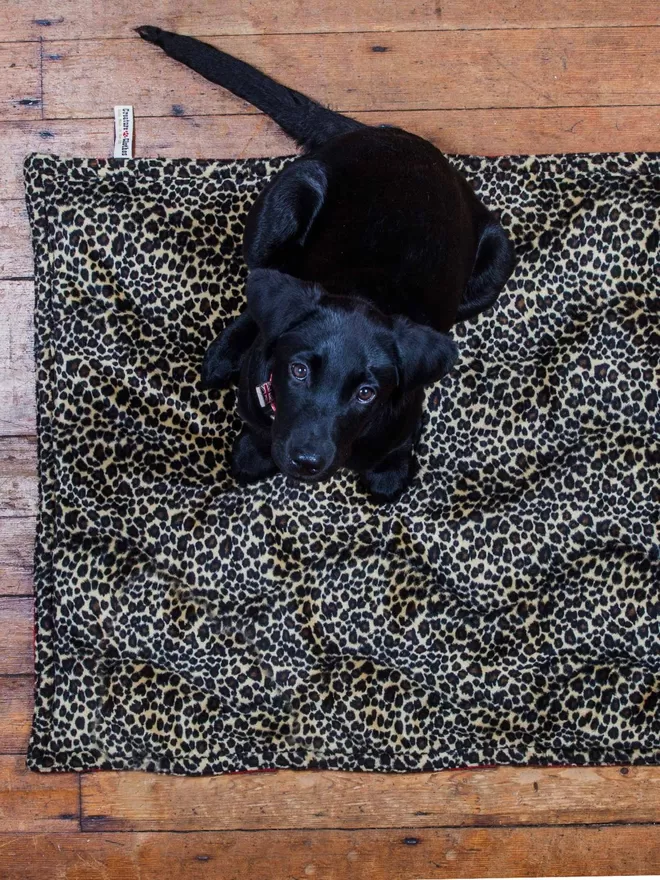 Leopard Print and Red Fleece Padded Pet Blanket With A Labrador Puppy
