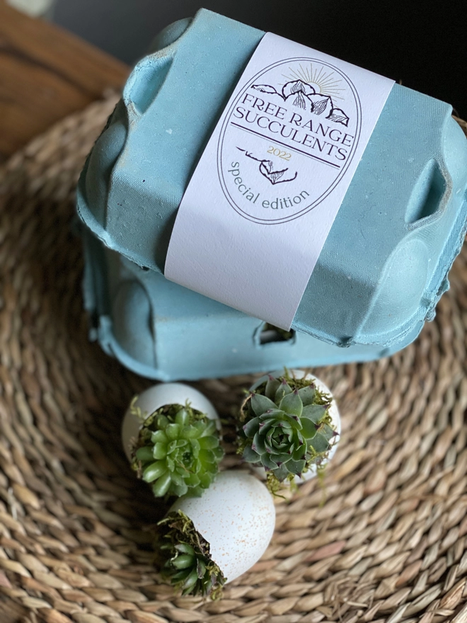 Succulent Easter egg box