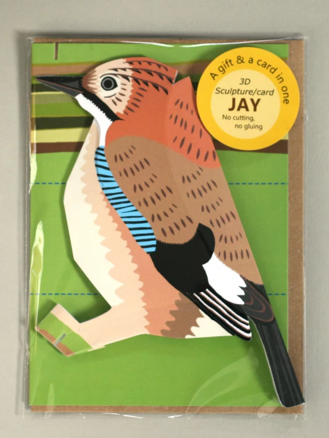 3d jay pop out card