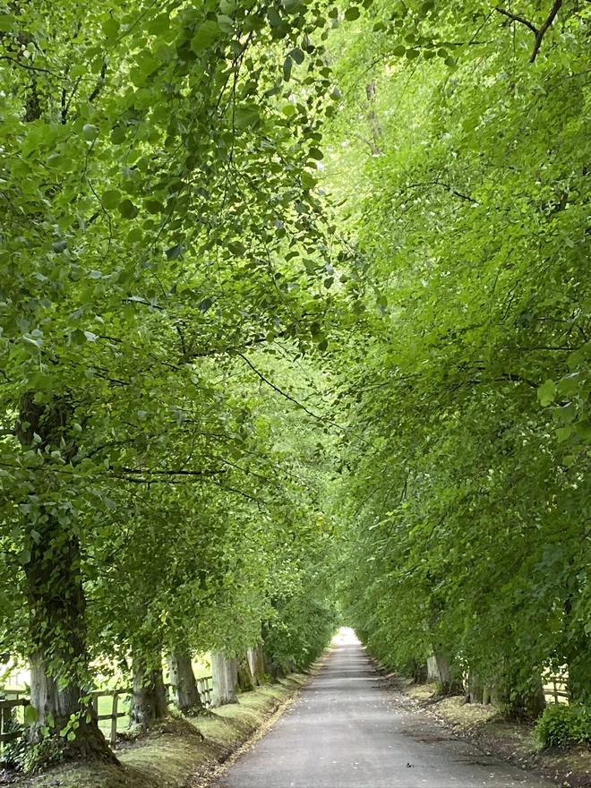 The Heart of England