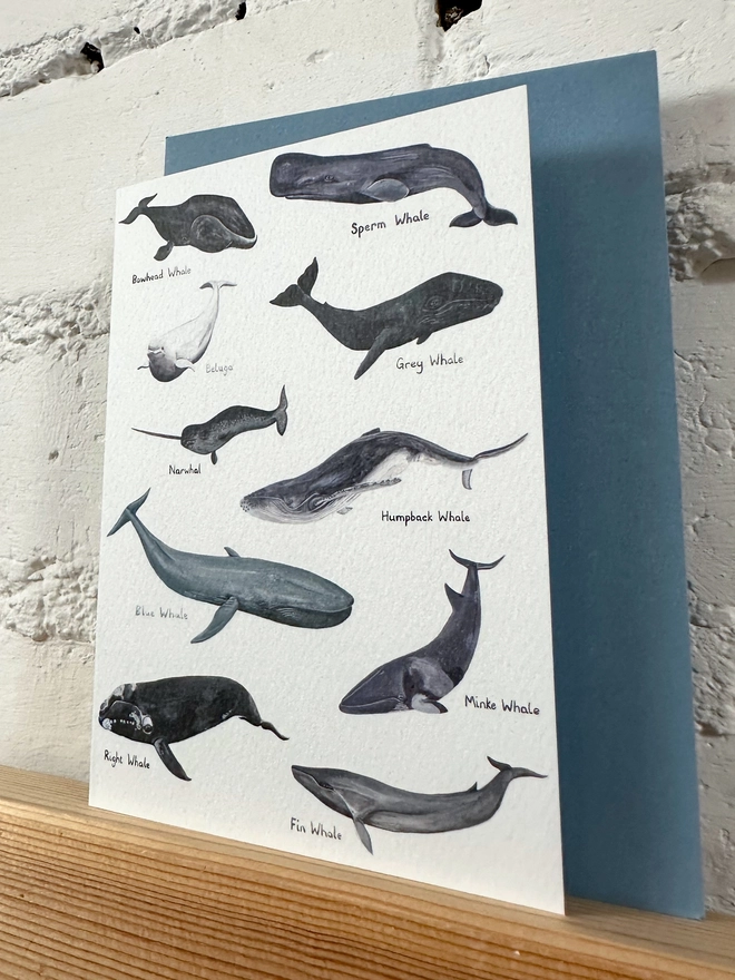 White Card featuring illustrations of 10 different whales with blue envelope