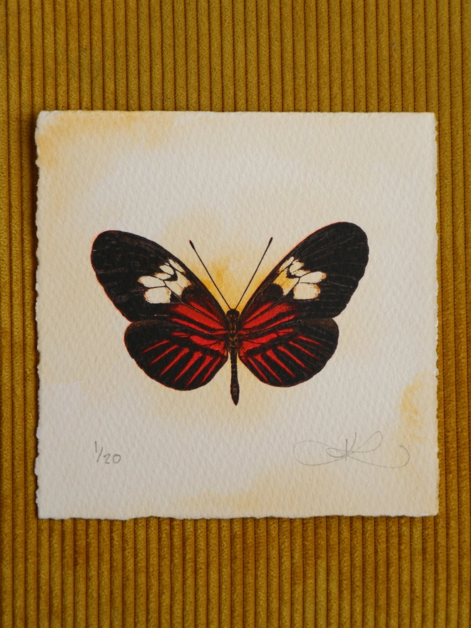 Limited edition screenprint artwork of a Postman Butterfly by London based artist Kath Leone