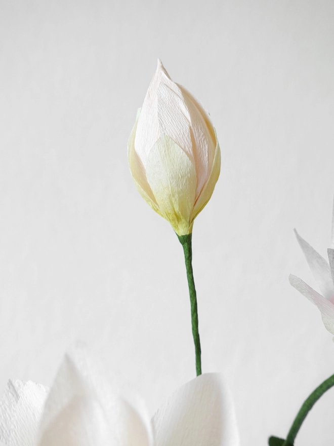 Crepe Paper White Sacred Lotus DIY Kit