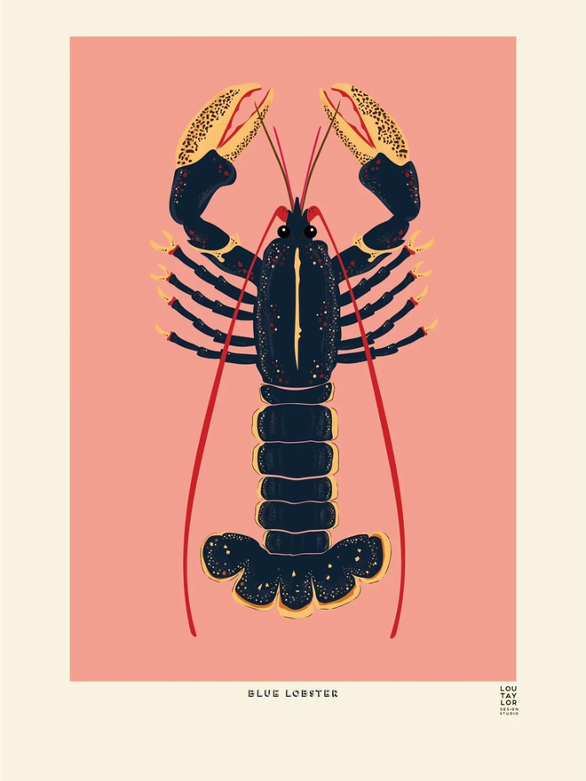 blue on pink lobster print