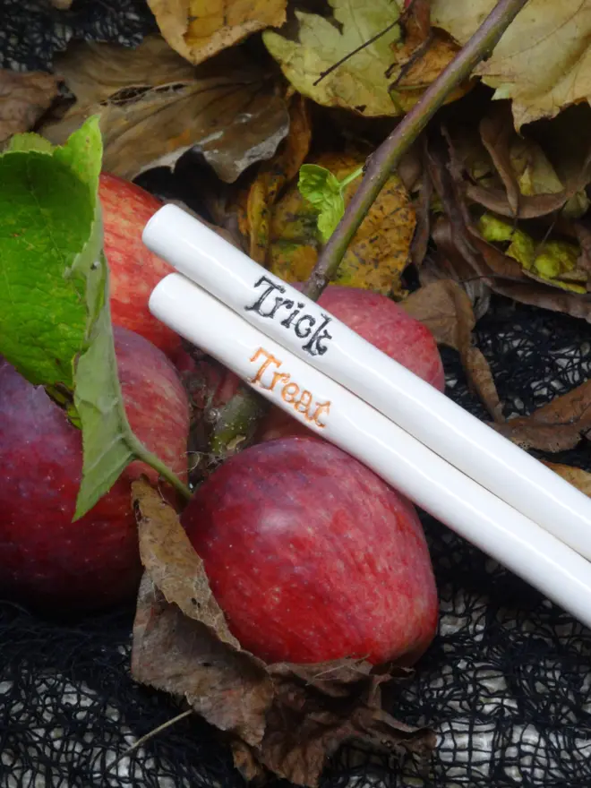 Two ceramic drinking straws, one with the word 'Trick' in black, the other with the word 'Treat' in black, resting on some red apples and Autumn leaves.