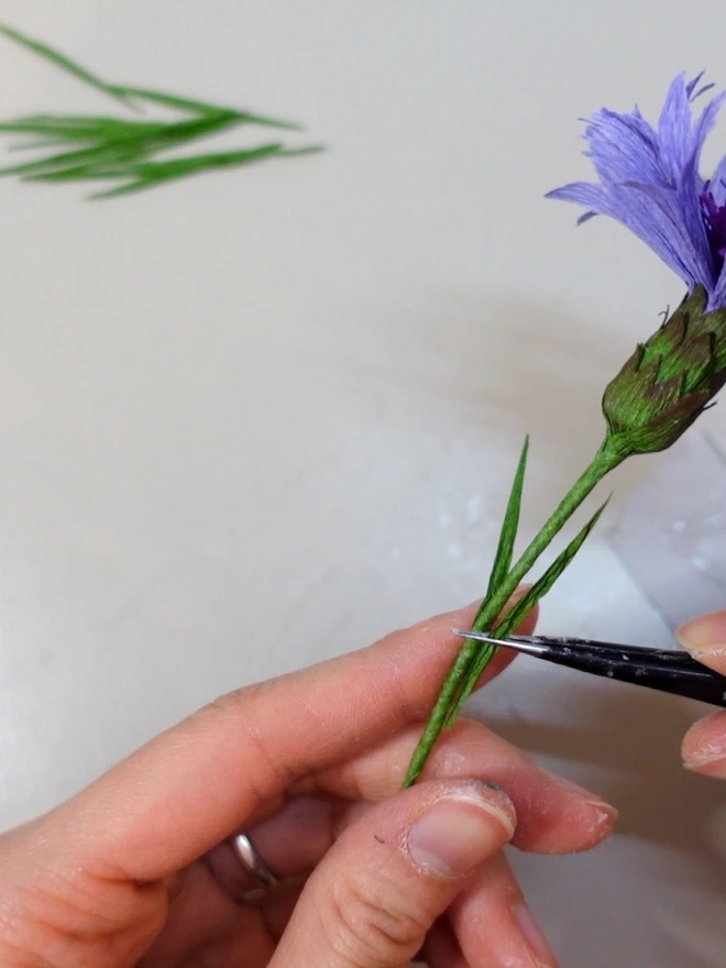 Crepe Paper Cornflower