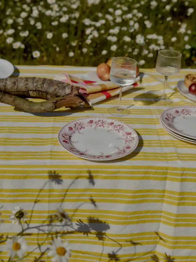 lemon yellow stripe tablecloth in a field of daisies