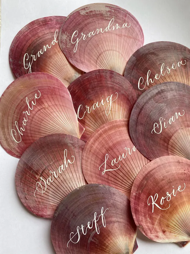 scallop shell place cards with handscripted names