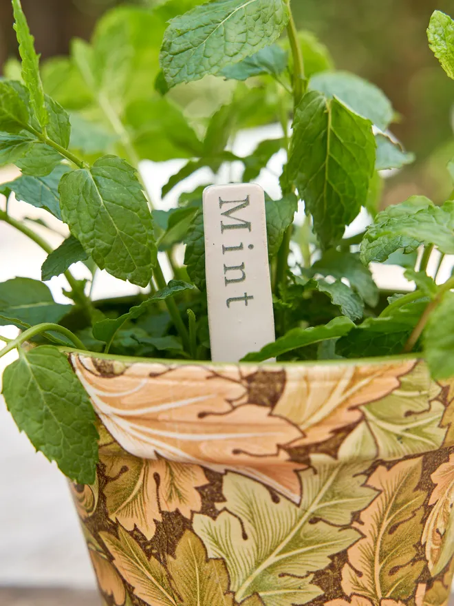 Ceramic plant herb marker