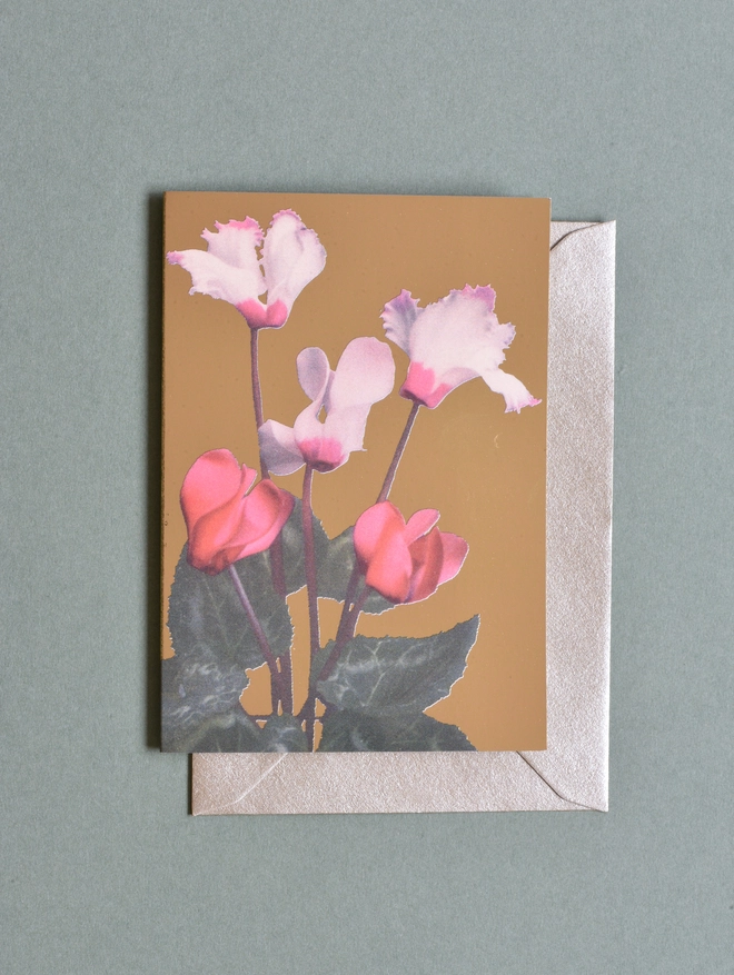 cyclamen card