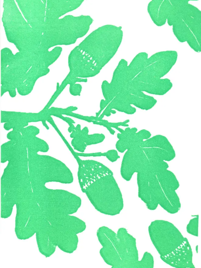 Close up of image, monochrome green. Flat shaded sprig of oak tree, featuring distinctive shapes of oak leaves and acorns.