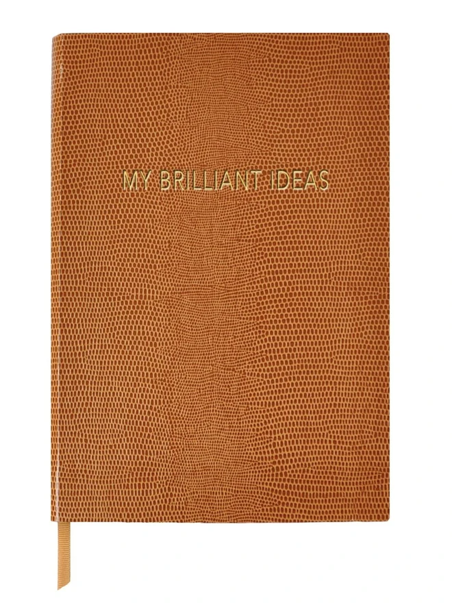 My Brilliant ideas notebook