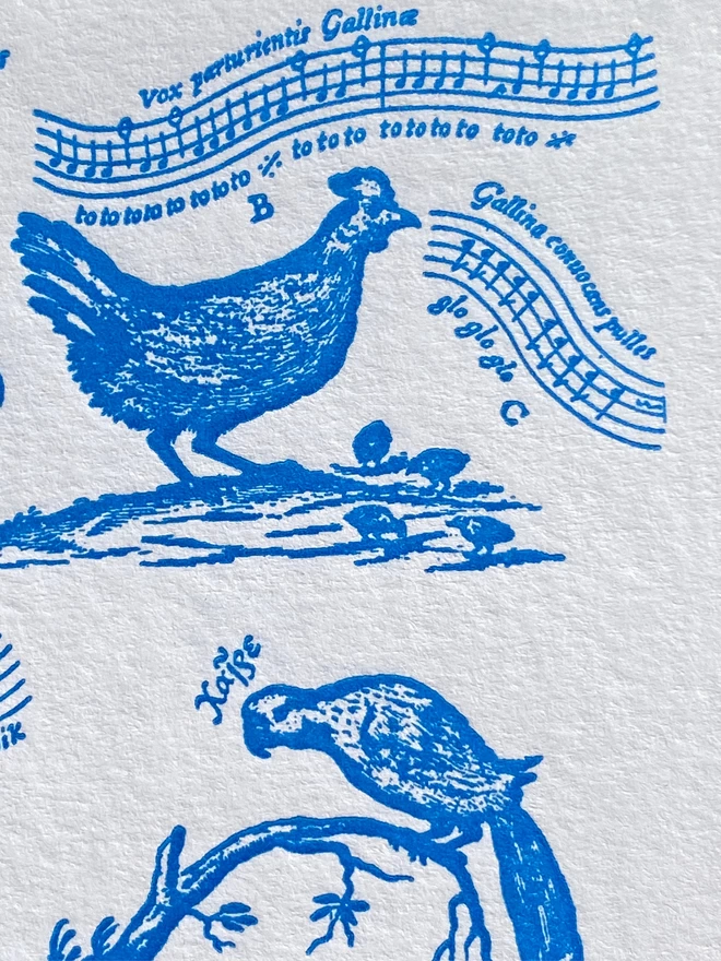 Close up of white card with blue birds and musical notes