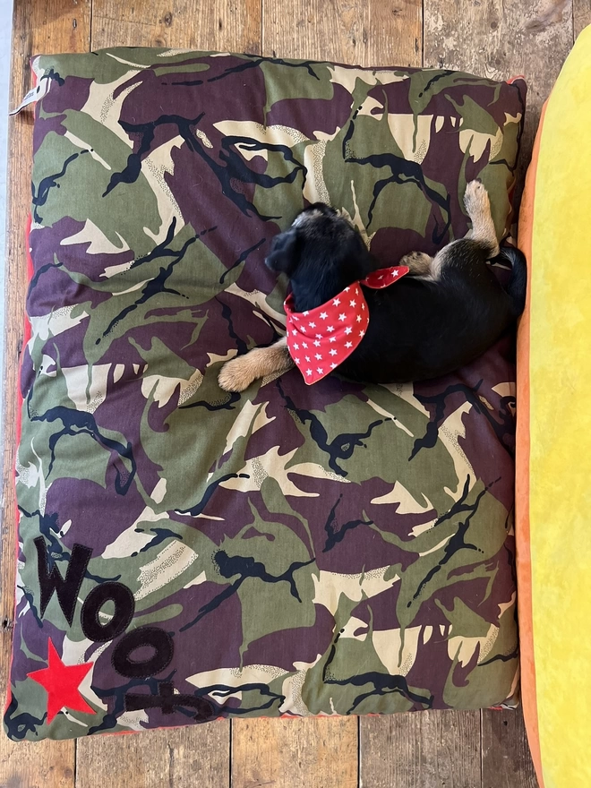 Corner Woof Dog Bed in Camo with Boarder Terrier Puppy