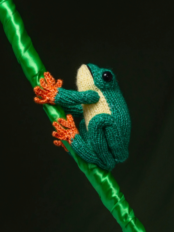 Tree Frog Knitting Kit. A knitted tree frog on a ‘branch’.