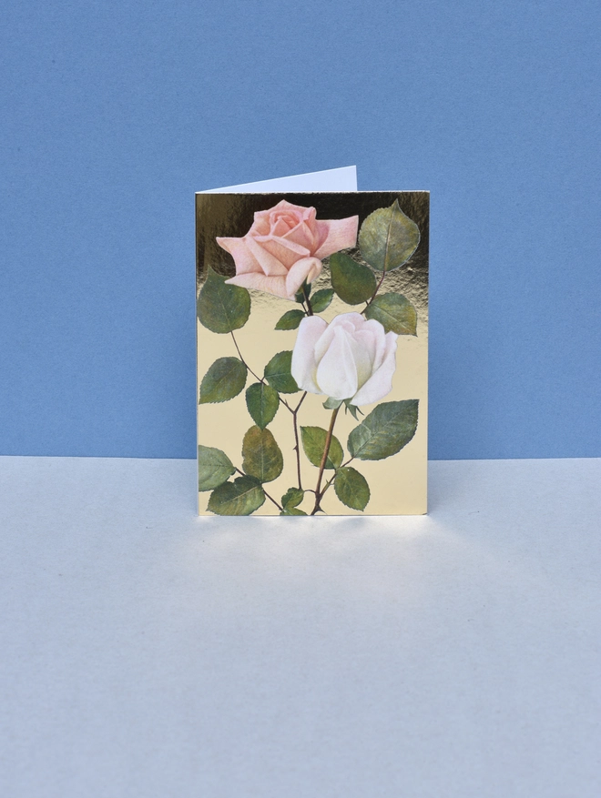 peach roses card