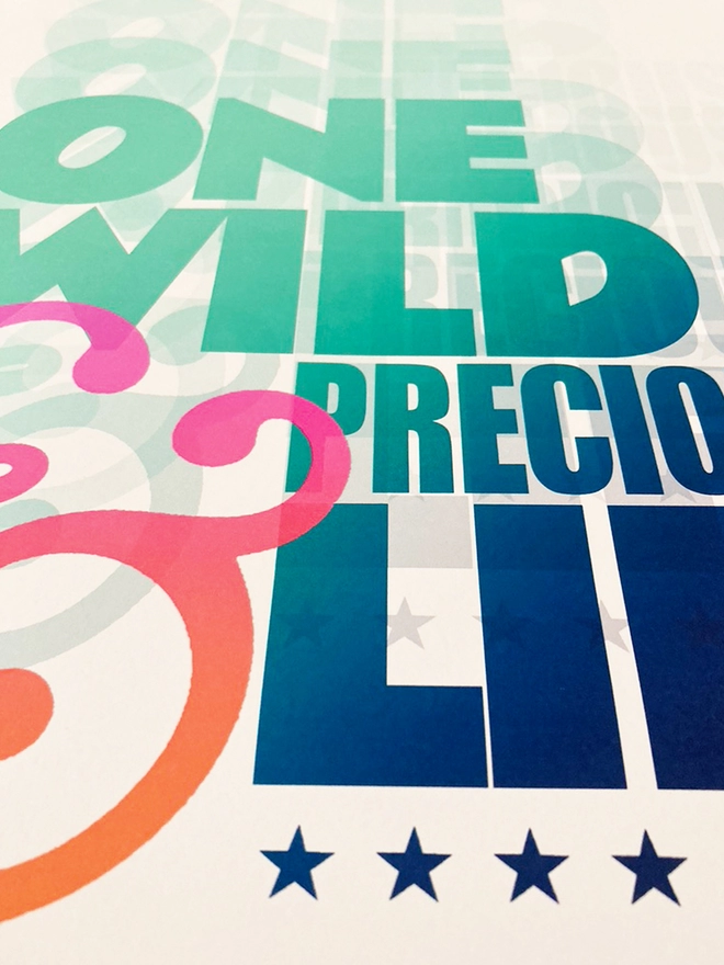 Detail from a multicoloured typographic print of the last line From Mary Oliver’s poem, The Summer Day - “One Wild And Precious Life”