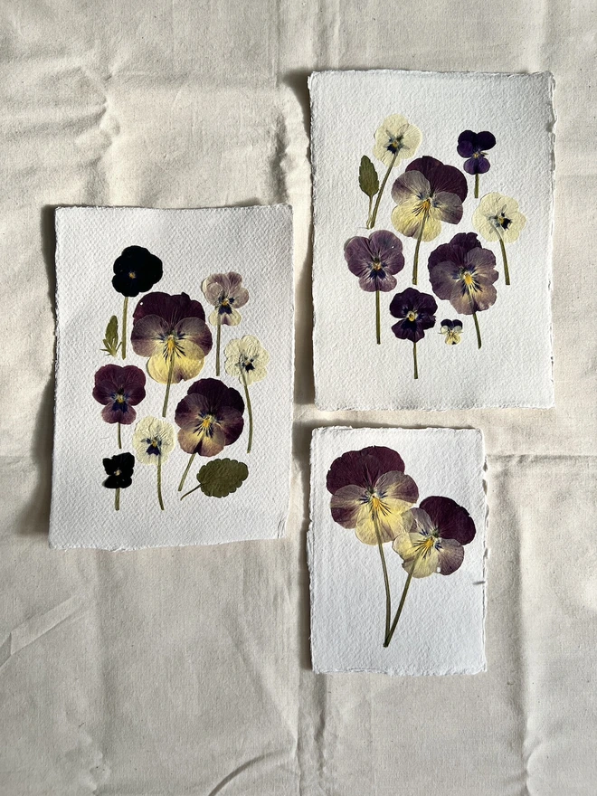 three different artworks with pressed pansy flowers