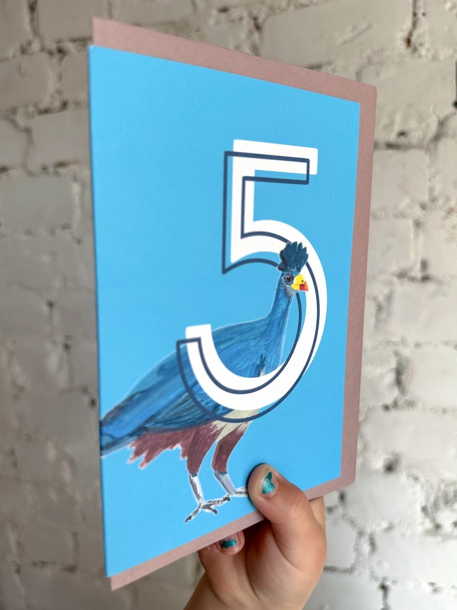 bright blue card featuring a big white number 5 and a turaco bird illustration with a purple envelope