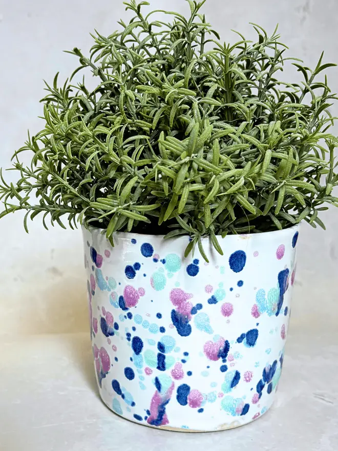 Sweetpea Large Pot, a colourful pot sitting on a stone surface in front of a plain background. It is accompanied by a plant. 