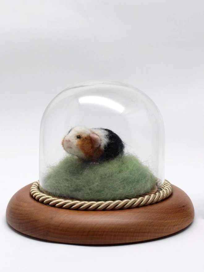 Needle-felted guinea pig sculpture inside glass dome