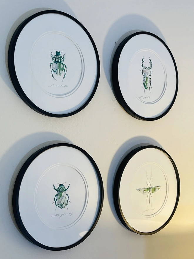Example of green bugs in black frames hanging on a wall.