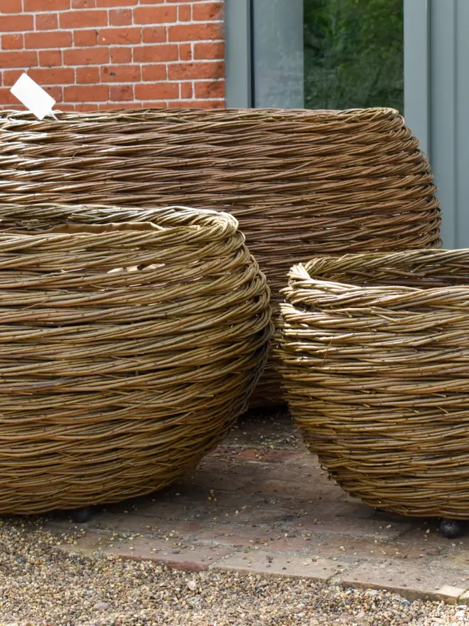 Willow Woven Basket