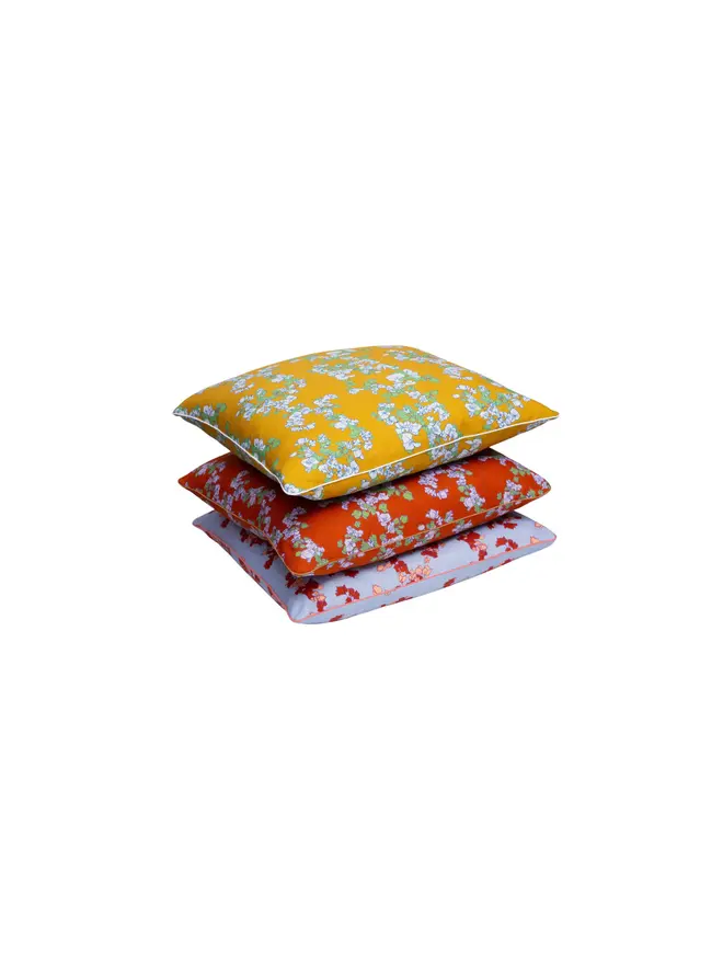 floral cushions on blank background