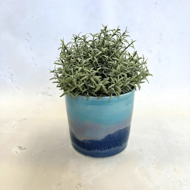Landscape Medium Pot, a colourful pot on a stone surface. It is accompanied by a pot. 