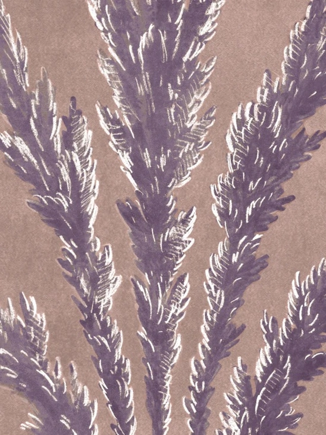 Lavender In Purple Haze Wallpaper