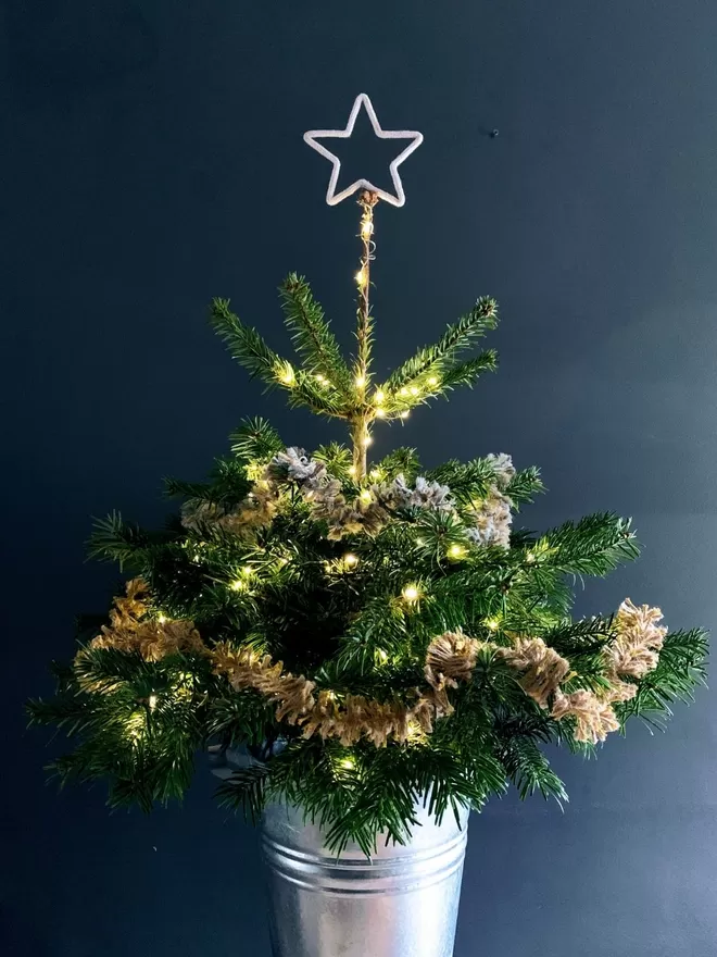 A small Christmas tree in a steel bucket, topped with a string covered wire star against a grey wall