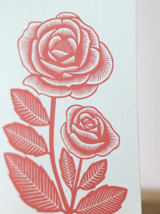 A greetings card with a red rose design based on an original linocut print