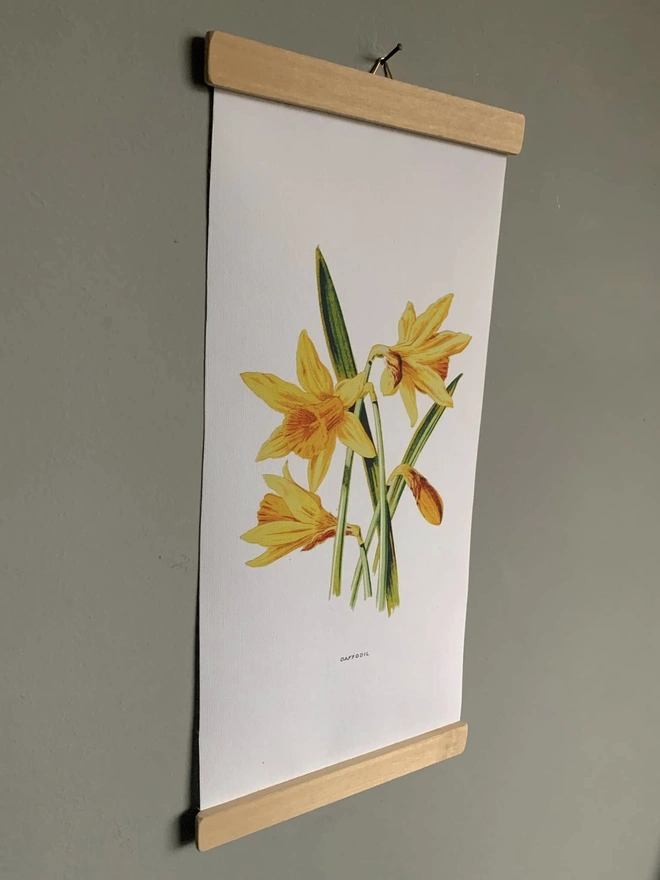 A botanical print on canvas with poster style frame