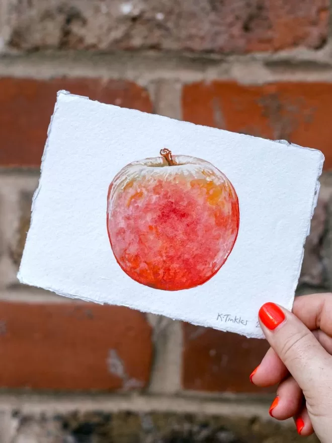 Katie Tinkler illustration of an apple.