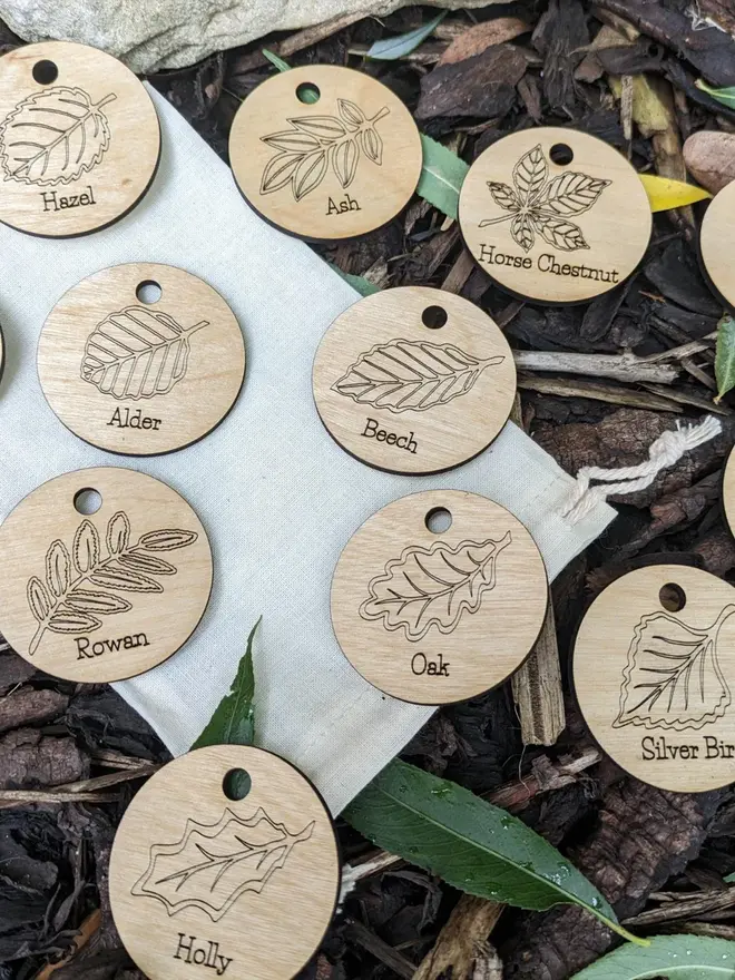 Wooden nature tail scavenger leaf learning discs graved with prompts and nature illustrations, scattered on leaves and forest floor.